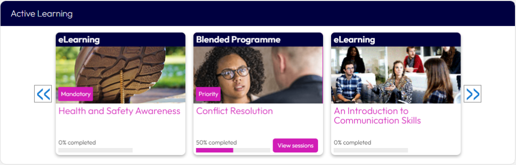 Learner experience display option settings – Dynamic LMS userguide