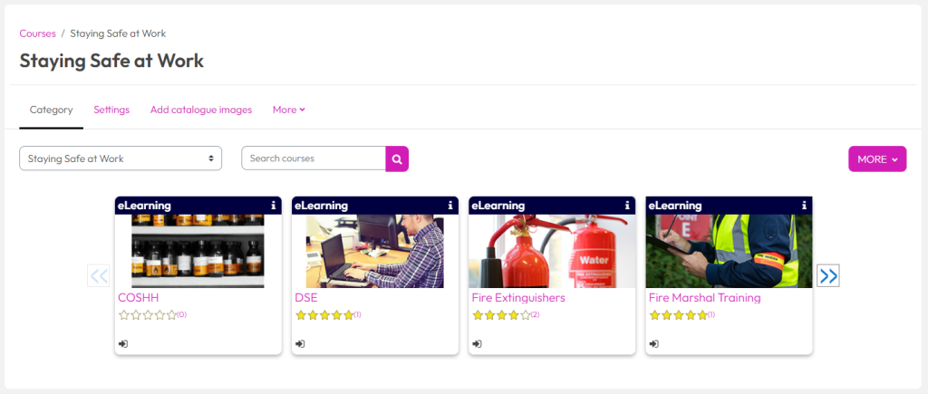Learner experience display option settings – Dynamic LMS userguide