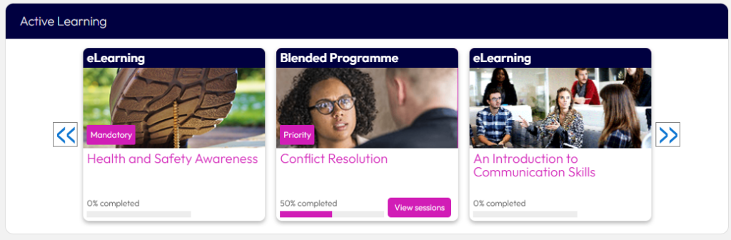 Learner experience display option settings – Dynamic LMS userguide