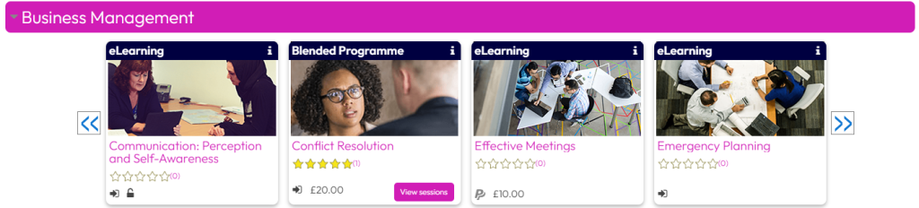 Learner experience display option settings – Dynamic LMS userguide